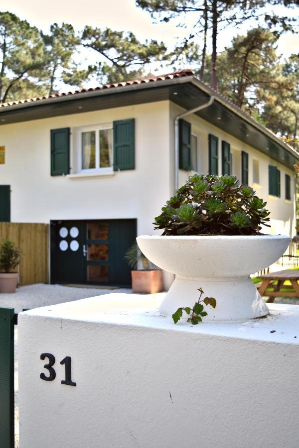 Nid De Line, Villa Hostal Naou Hossegor Wifi Netflix Soorts-Hossegor Exterior photo